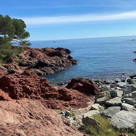 Raphael 4 Etoiles Neuf En Rez De Jardin Privatif