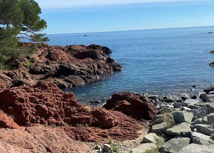 Raphael 4 étoiles Neuf En Rez De Jardin Privatif