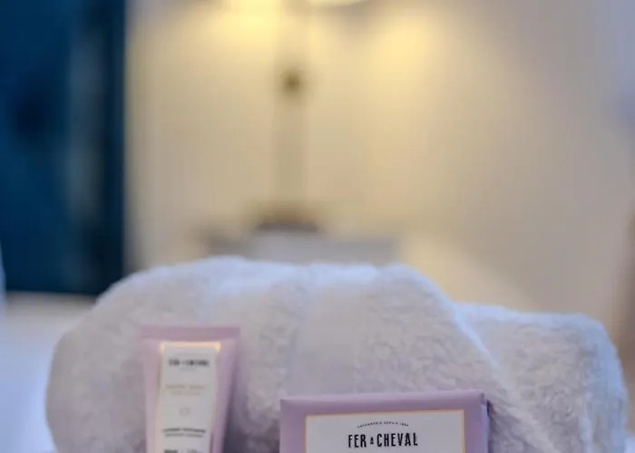 Raphael 4 Etoiles Neuf En Rez De Jardin Privatif *